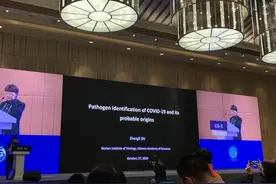 中科院武汉病毒研究所石正丽：正持续复原病毒演进，分析病毒到底来自何方图片