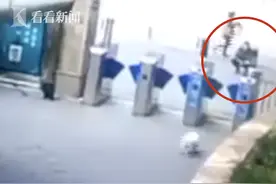 捡拾还是偷窃？外卖员送餐后抱走宠物狗 曾多次拍手引诱……图片