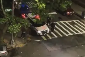 纽约警察用警车喇叭大喊“特朗普2020”遭停职图片