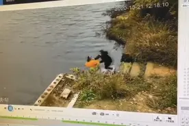 南京水库推人案被害者女儿：母亲与凶手并非闺蜜，仍未获道歉图片