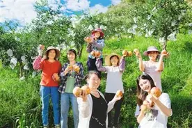 小众水果，牵手电商出深山图片