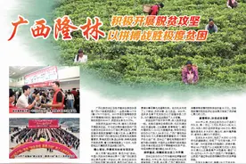 广西隆林 积极开展脱贫攻坚 以拼搏战胜极度贫困图片