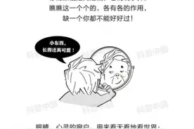 居“五官”之首的眉毛，究竟有啥用？图片