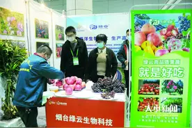 过瘾！一馆尝遍天下苹果，各地苹果“争香斗艳”，小果业做成了“金疙瘩”图片