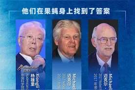 前瞻丨从失眠到夜猫子，科学家告诉你昼夜规律究竟有多重要图片
