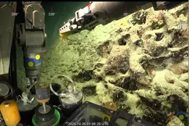 比帝国大厦还高 澳大利亚发现一座500米高的珊瑚礁图片