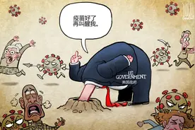 鸵鸟政策图片