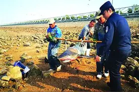 快！警民合力将其送回大海图片