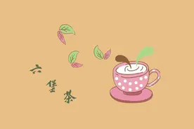 香甜的发酵茶——六堡茶图片