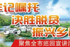 「牢记嘱托 决胜脱贫 振兴乡村 聚焦全市巡回宣讲活动」赞！这里的宣讲“声”入人心图片