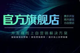 超强IP营销带来300亿成交，安居客官方旗舰店打造线上自营销体系图片
