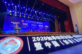 如皋“一会两节”开幕，46个项目现场签约，总投资395亿元图片