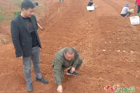 萍乡吴天行：从贫困户到村支书 带领村民致富奔小康图片