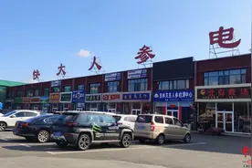 暗访人参市场乱象：“野山参”办假证只要5元 售价立马翻倍图片