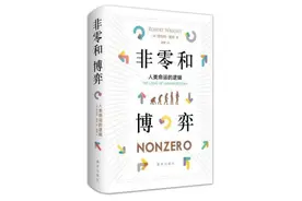 ​《非零和博弈：人类命运的逻辑》：平静前的暴风雨图片