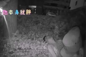 外卖小哥路遇醉汉求助民警：他突然不打呼噜了图片