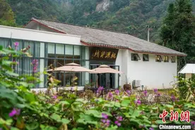 「文化扶贫在行动：湖北篇」湖北东沟村：乡村掀起“民宿热”贫困村变“网红村”图片