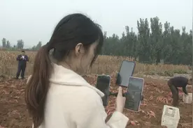 泰安新泰市小协镇电商直播 带火农特产销路图片