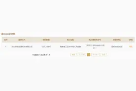 光为绿色能源旗下股权现司法冻结 背后隆基泰和持续布局新能源图片