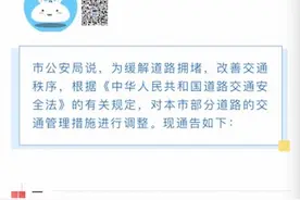 上海外地牌照限行升级 新能源车市反迎利好，年销量有望达到10万辆级图片