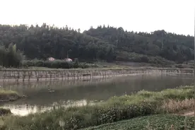 举报竞争对手招标涉嫌造假后获取30万元补助，4人以敲诈勒索罪被公诉图片