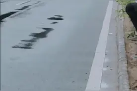 海南儋州开往三亚一客车侧翻起火，车内7人受伤图片