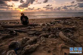 通讯：让我们的海滩更清洁美丽图片