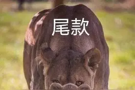“双11”前，191款鞋子被曝光，不合格图片