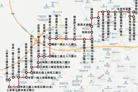 注意！这六条公交线路新开、调整图片