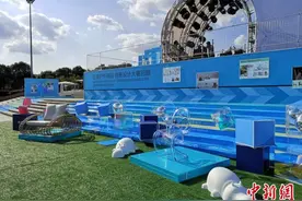 浙江临海户外展启幕：“云交易”成主流 行情回暖明显图片