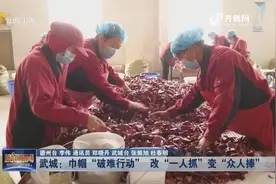 武城实施“破难行动”，“一人抓”变“众人捧”，妇女家门口就业视频封面
