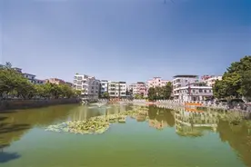 练好“绣花”功夫 留住“穗东记忆”图片