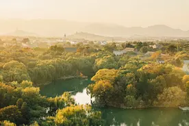 秋光无限不会拍照？请收好这份“摄影指南”｜睡前聊一会儿图片