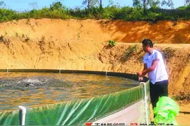 坡地山岭亦可养鱼 玉林打造圆桶养鱼新模式图片