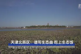 全面建成小康社会“百城千县万村调研行”|天津北辰区：谱写生态曲 吃上生态饭视频封面