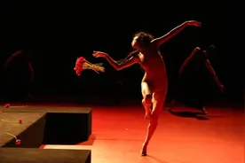 北京当代芭蕾团在沪上演“足尖盛宴”，王媛媛：我们是活在当下的生命，不是演绎过去的工具图片