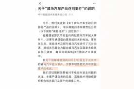 威马电动车因起火风险召回，电芯供应商为中兴通讯子公司图片