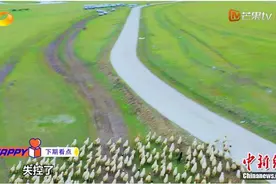 易车《新手驾到》第十一期周深偷偷抹眼泪 自驾之旅发生了啥？图片