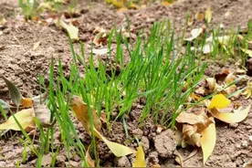 最接“地”气毕业礼物！济南这位高三班主任已经给学生备好明年的毕业礼物图片