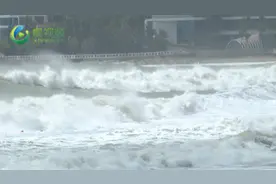 椰视频丨惊险！女童三亚海边观浪差点被浪卷走 庆幸！烧烤师傅冲进海里将女童抱回图片