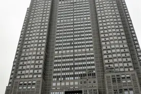 日本一小学上百师生发烧腹泻 午餐中发现弯曲杆菌图片