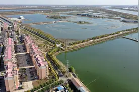 全面建成小康社会“百城千县万村调研行”丨以绿为底，勾描美丽“钱景”——天津北辰走好生态富民路图片