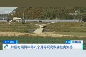警戒线已拉起！又检出H5N8型高致病性禽流感病毒！韩国全国菜市场已禁止销售…图片