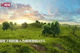 中国陆地生态系统固碳能力被低估 吸收人为碳排放约45%视频封面