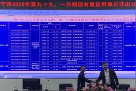 江南区南化片区整体开发一期项目成功出让图片