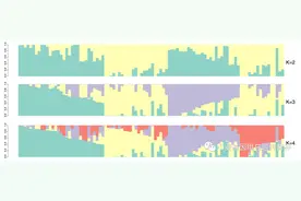 河南省小麦品种群体结构与环境适应性解析图片