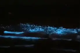 葫芦岛出现罕见荧光海，水面变璀璨星空视频封面