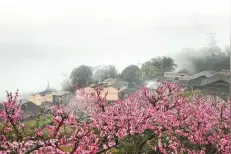 全资源整合 全产业融合！山水穆云擦亮“旅游+”名片图片
