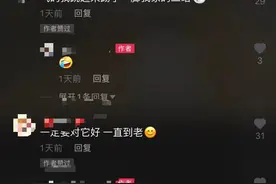 默契！杭州狗狗帮主人叠雨布的视频火了，全国2800多万人围观！背后的故事是这样的图片