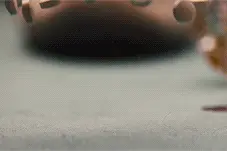 10种药品的搭配禁忌图片